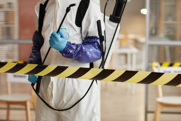 Professional Sewage Cleanup technician working in Manville, NJ